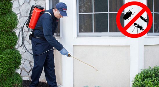 Söğütlü Kene İlaçlama böcek ilaçlama ve haşere kontrolü — ilaclama-tr.com